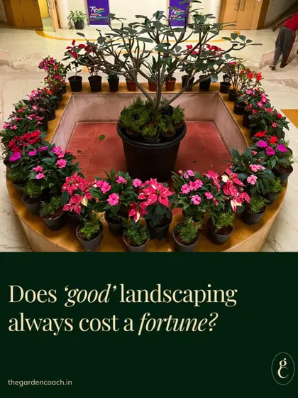 I believe beautiful landscaping should be accessible. This image addresses the common concern about cost, reinforcing my commitment to providing top-notch, affordable solutions that bring your dream garden to life without breaking the budget.