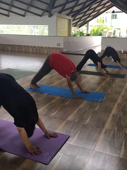 Guests practice Adho Mukha Svanasana (Downward-Facing Dog). This foundational yoga pose energizes the entire body, stretches the shoulders, hamstrings, and calves, and calms the brain.