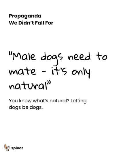 Here's some propaganda we didn't fall for: "Male dogs need to mate, it's only natural." We believe in letting dogs be dogs, and that means making responsible, informed decisions about their health and well-being, not following outdated myths.