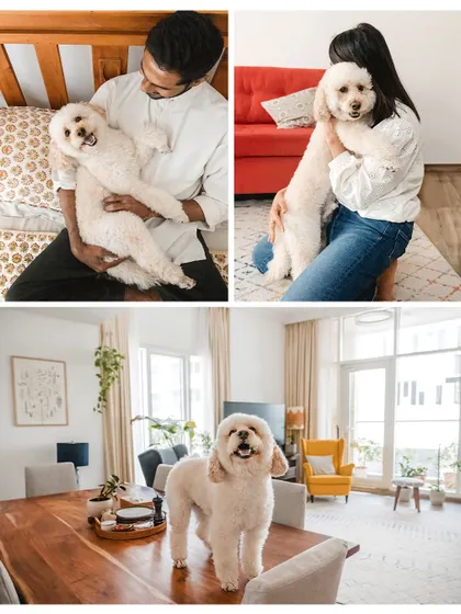 A collage showcasing the fun and love in Dinkan's home. From being cradled like a baby to proudly standing on the dining table, his personality shines through.