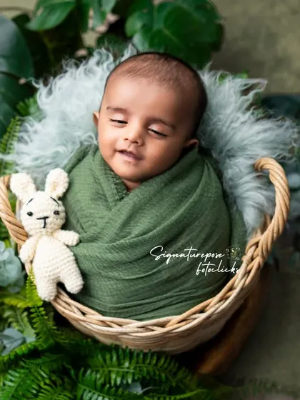 A duplicate of image 249, a smiling newborn in a nature-themed setup.
