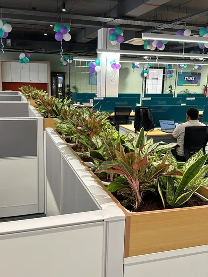 Another angle of the office installation, showing how the continuous line of plants creates a natural and refreshing look throughout the workspace. This helps make the office feel more calm and productive.