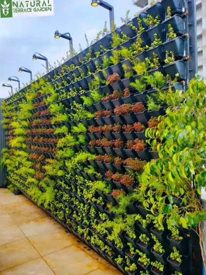 A close-up of a completed vertical garden, showing the variety of plants and the integrated lighting fixtures.