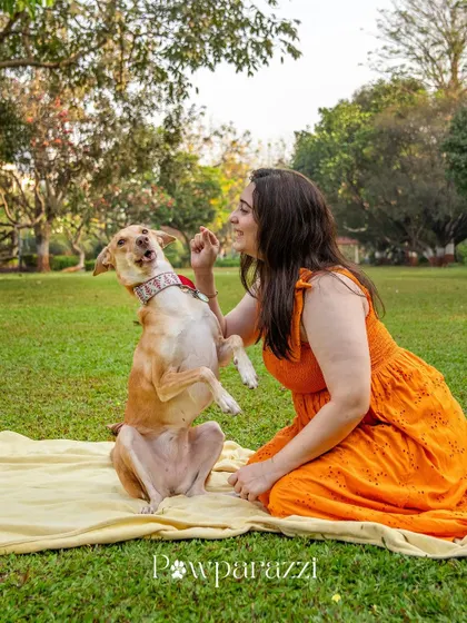 Noor showing off her "sit pretty" skills for a treat. It's amazing to see how far she's come and how much she's blossomed in her forever home.