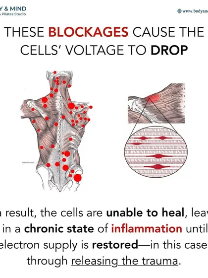 When emotional or physical trauma creates blockages in the fascia, the voltage of the surrounding cells can drop. This leaves the cells in a chronic state of inflammation until the trauma is released.
