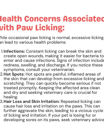 Does your pet lick their paws excessively? This common behavior can signal underlying health issues like infections or allergies. I can help diagnose the cause and recommend the right treatment.