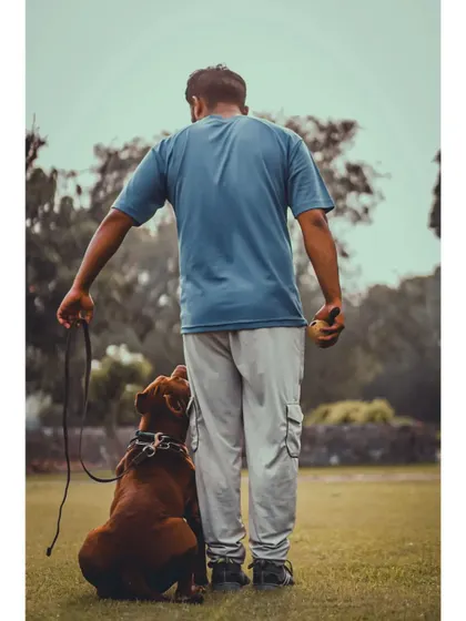 This is me with my baccha, Thor. A dog that is focused on its handler is a dog that is ready to learn and listen. This bond is the foundation of all my training.