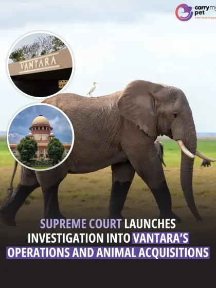 This weekly news update covers the Supreme Court's investigation into Vantara's operations and animal acquisitions, a significant story in the world of wildlife conservation.