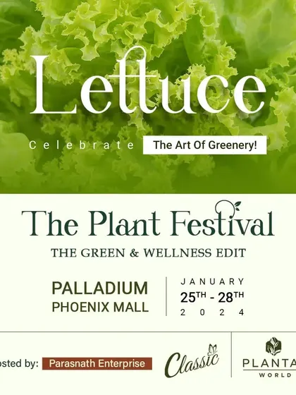 Lettuce celebrate the art of greenery. We feature vendors who specialize in kitchen garden essentials, helping you grow your own fresh and healthy food.