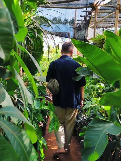 Walking through the jungle be like. This is what it feels like to wander through the aisles of our nursery, surrounded by green.