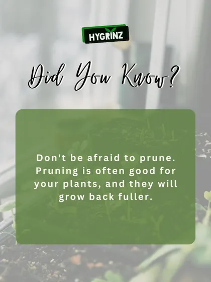 Don't be afraid to prune your plants. This tip explains why trimming is good for your plants, encouraging them to grow back fuller and healthier.