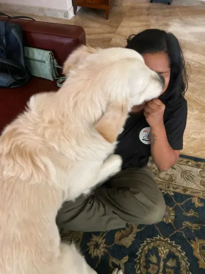 These additional photos showcase the variety of wonderful dogs I have the pleasure of caring for, each with their own unique charm and personality. From playful moments to quiet cuddles, every interaction is special.