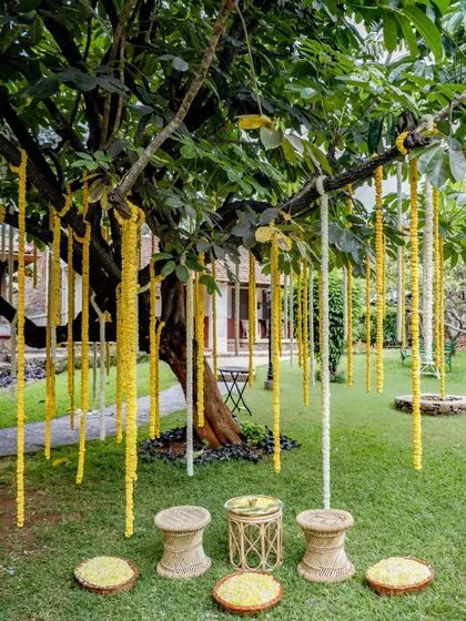 Marigold garlands hanging from a tree create a simple, beautiful, and traditional welcome for guests at this courtyard wedding.