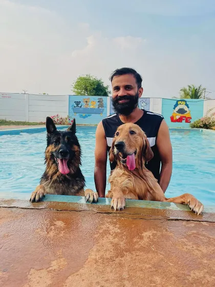 A happy German Shepherd and Golden Retriever posing with their owner in the pool.