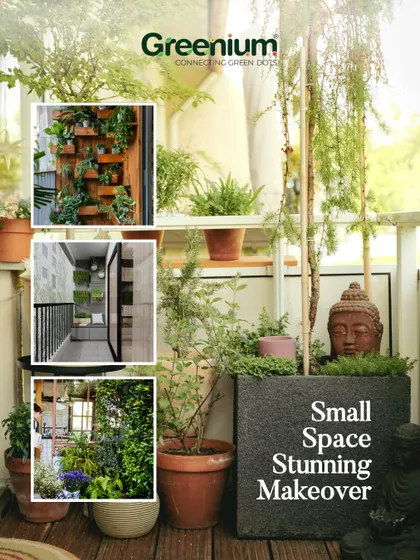 A collage showcasing stunning makeovers for small spaces. Whether it's a balcony, a tiny corner, or a vertical wall, I can turn any limited area into a lush, living masterpiece.