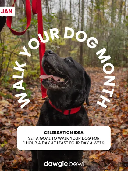January is also Walk Your Dog Month! I encourage you to set a goal to walk your dog regularly. It's great for both physical and mental health.