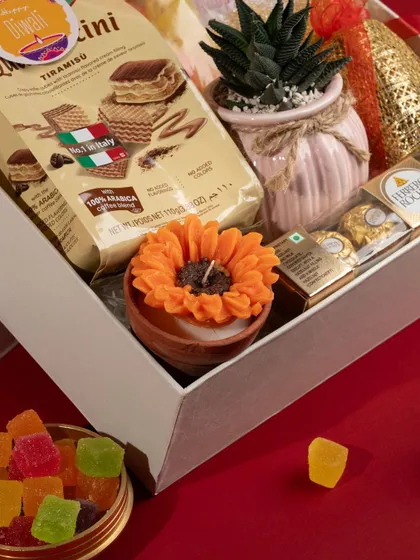 A close-up of another Diwali hamper variation, this one including tiramisu wafers, a succulent, and a beautiful sunflower-shaped candle.