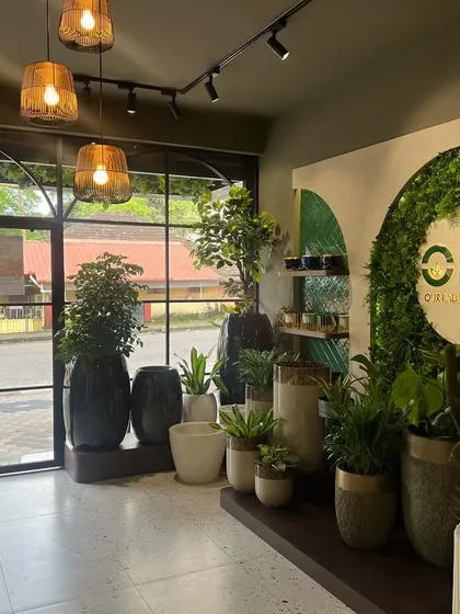 The entrance to our Kadri store at Vertex Treo. We've created a mini jungle right at the doorway to welcome you into our world of plants and planters.