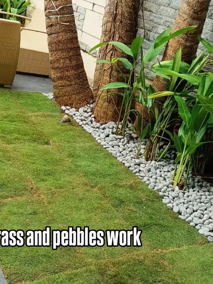 This is a great example of combining softscaping and hardscaping. We used white pebbles to create a clean border around the base of the trees and plants.