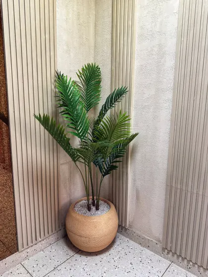 An artificial Areca Palm in a beautiful textured pot adds a touch of tropical elegance to a corner in Looks Salon. This is a simple yet effective way to fill an empty space.