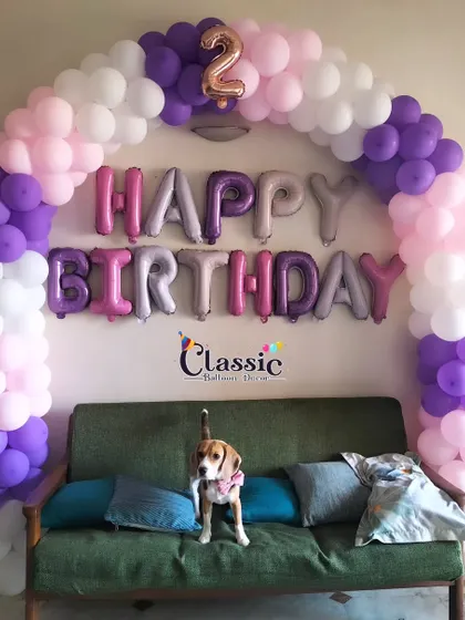 We love celebrating everyone, including furry friends! Here's a 2nd birthday setup for a pet, with a beautiful pastel balloon arch.