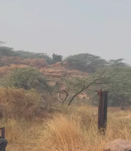 The serene landscape of the Aravali Nagar Van provides a stunning backdrop for the "Sound of Rewilding" community event.