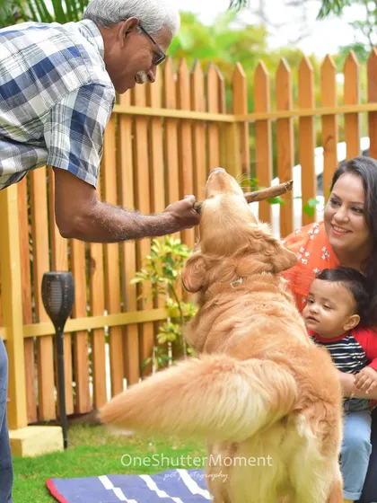 A game of tug-of-war between Bumpy and his grandpa. It's beautiful to see different generations of a family bonding over their love for a pet.
