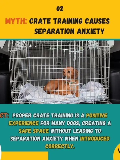 Myth: Crate training causes separation anxiety. Fact: When done correctly, a crate becomes a safe den for your dog and does not lead to anxiety.
