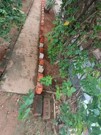 A view of the prepared boundary with brick edging before the turf is laid down.