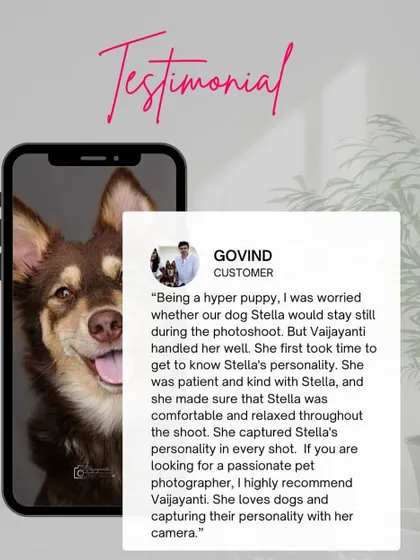 A client testimonial graphic, featuring a beautiful dog portrait and a glowing review about my patience and ability to capture personality.