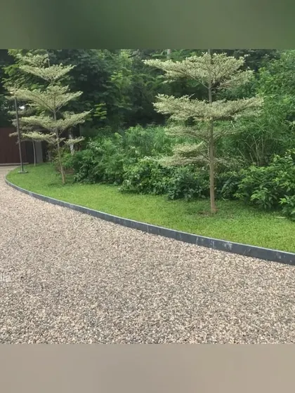 A close-up of the gravel driveway edge, defined by a clean metal border and flanked by young Terminalia trees. This detail shows my focus on combining natural textures with sharp, contemporary design elements.
