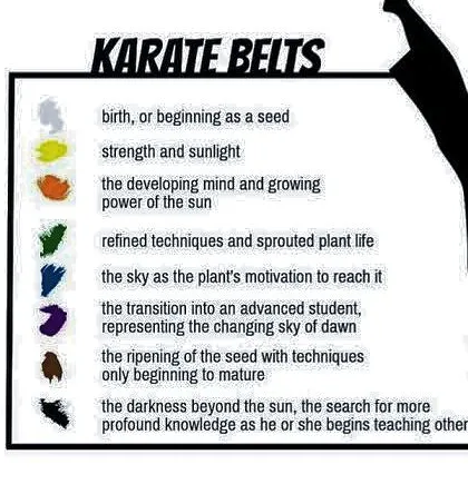 The belt represents a student's journey and progress. This chart explains the meaning behind each color, from the beginning seed to the darkness beyond the sun.