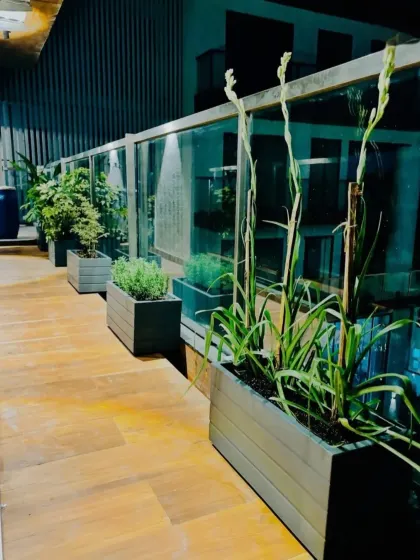 This view highlights the variety of plants used, including tall, flowering Rajanigandha (Tuberose). The glass railing ensures an unobstructed view, making the space feel open and connected to the surroundings.