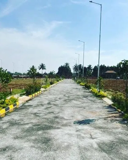 A view of the newly landscaped road at a residential layout project on Sarjapura road. We planted young trees that will grow to provide shade and beauty for years to come.