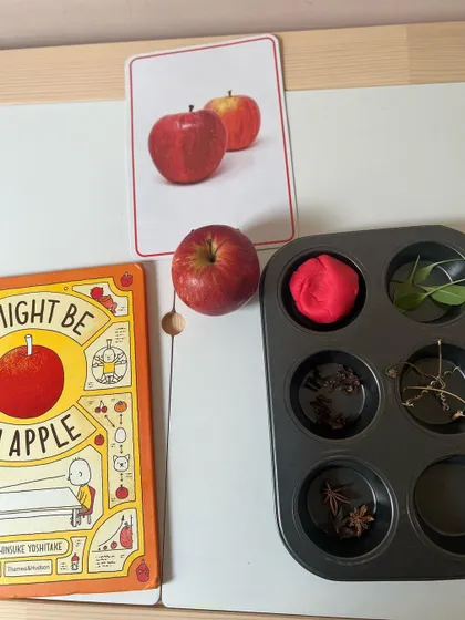 This is the simple setup for our apple-themed sensory activity. We combine a storybook, flashcards, real fruit, and a tray of natural items like cloves and star anise to explore with playdough.