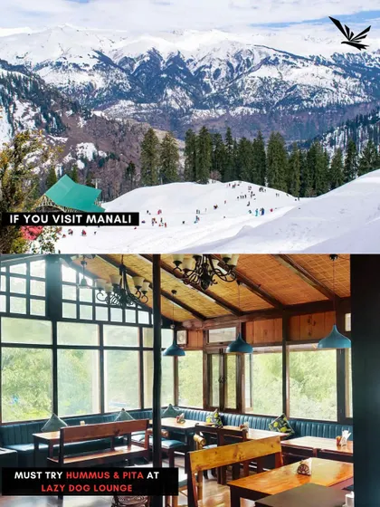 When you visit Manali, the snow-covered slopes are a must see, and so is the hummus and pita at the famous Lazy Dog Lounge. We guide you to both.