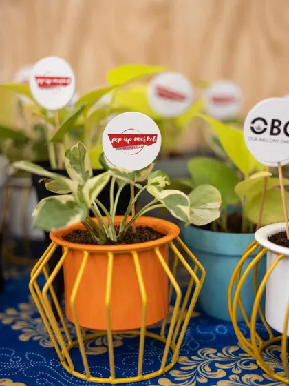 Another view of our colorful metal planters prepared for an event. We can match planter colors and branding to your event's theme, creating a cohesive and memorable gift.