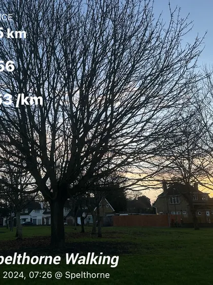 A Garmin data screen showing a 5km morning walk in Spelthorne, UK. Active recovery and easy movement are just as important as intense training.