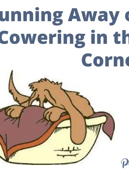 If your dog runs away or cowers in a corner, it's a clear sign of fear. My approach is to build their confidence so they learn to look to you for safety instead of hiding.
