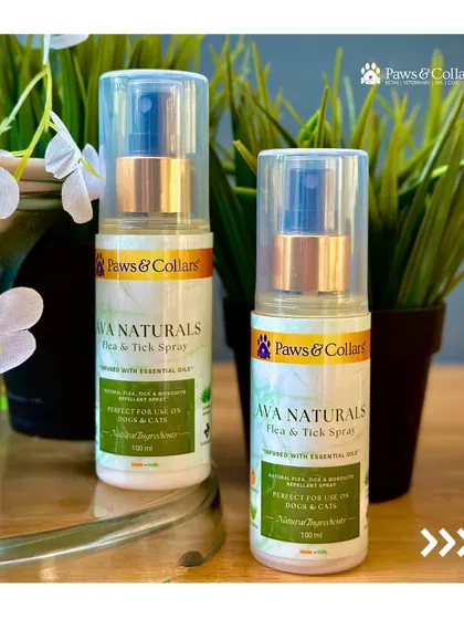 Our Ava Naturals Flea & Tick Spray, beautifully displayed. Its natural formula makes it a safe and essential item for any pet parent who loves taking their furry friend outdoors.
