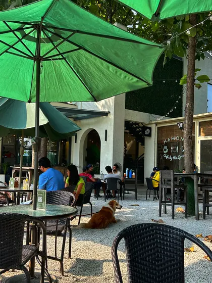 Even our four legged friends are welcome. A guest's dog relaxes on the cafe patio, highlighting our pet friendly policy for private events.