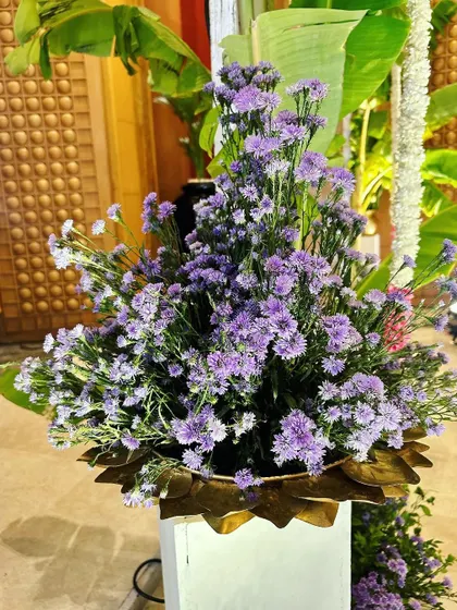 Another look at the beautiful floral arrangements that bring life and color to the engagement ceremony.