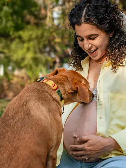 A tender moment during an outdoor maternity shoot, where an indie dog gently nuzzles its owner's pregnant belly.
