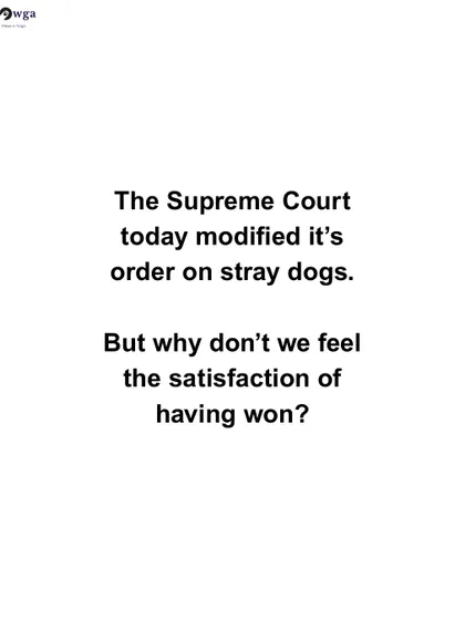 We express our mixed feelings about the modified Supreme Court order on stray dogs. While it's a win, the fight for animal rights is far from over, and we remain cautiously optimistic.
