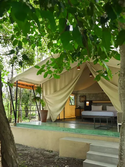 A luxury glamping tent at the Fireflies Resort, nestled in the woods. The design provides a comfortable bedroom that opens onto a private deck, blurring the line between indoors and out.