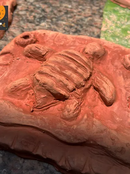 A close-up of a clay mural featuring a turtle. The student used various techniques to create textures for the shell and the surrounding water.