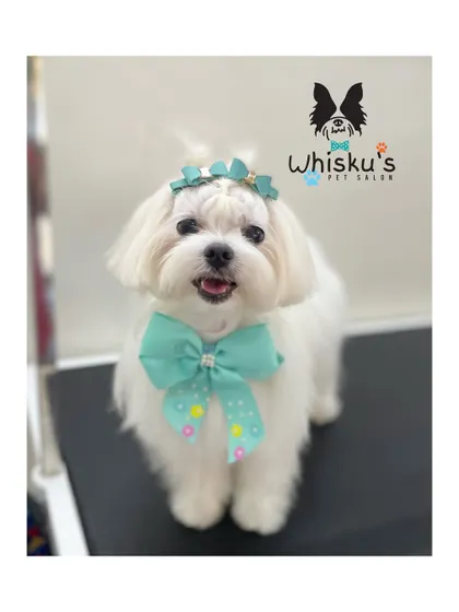 A perfect pose from Pearl. Her hair is flawlessly styled, showing off her beautiful face and happy expression.