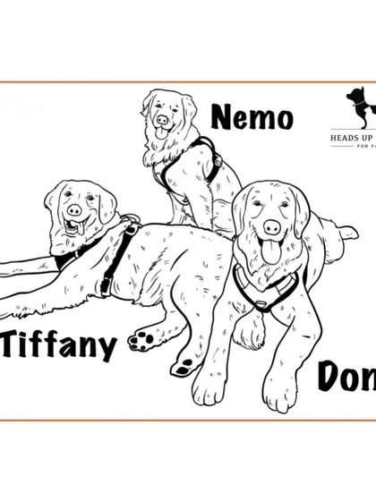 A group portrait of three beautiful dogs, Nemo, Tiffany, and Don. I can create illustrations featuring multiple pets together in one happy scene.
