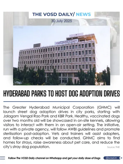 We also act as an information hub for animal welfare. Here, we shared news about the Greater Hyderabad Municipal Corporation's initiative to host street dog adoption drives in city parks, connecting more people with adoptable indie dogs.