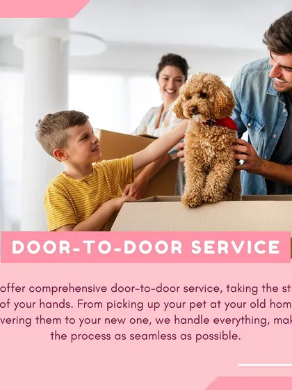 Our door-to-door service means we handle everything from picking up your pet at your old home to delivering them to your new one. This graphic illustrates our commitment to a seamless process.